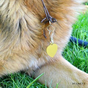 Serce blaszka dla pupila złota 3,5 cm z miejscem na grawer Serce gold L.  Blaszka w formie adresówki, identyfikatora dla psa.  (2).JPG